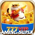 rioaa Gaming Super
